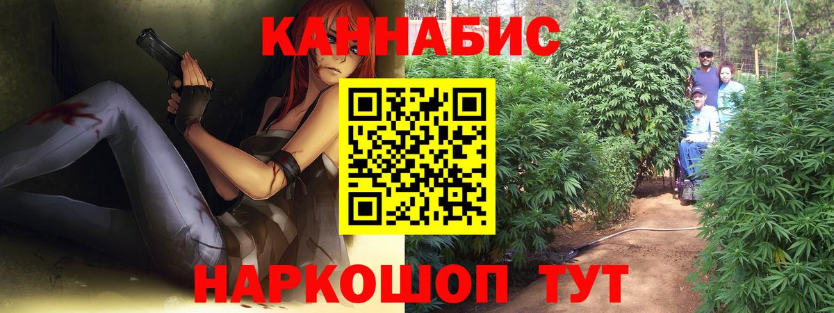 Каннабис конопля Томск